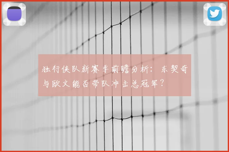 独行侠队新赛季前瞻分析:东契奇与欧文能否带队冲击总冠军?